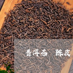 普洱茶 陈皮/2023042872642